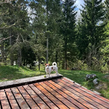 ~chalet_rifugio Tra I Boschi~ Σαλέ Sella Nevea